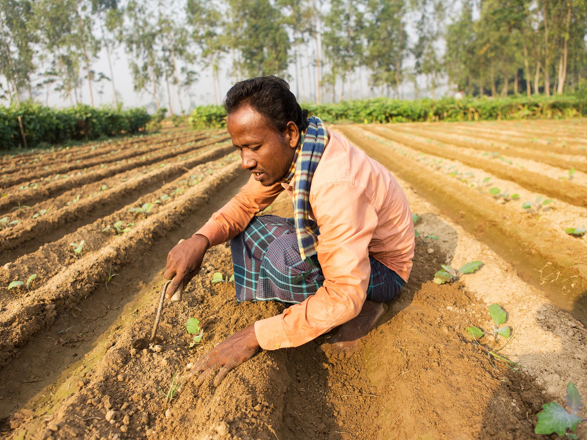 literature review on smallholder farmers